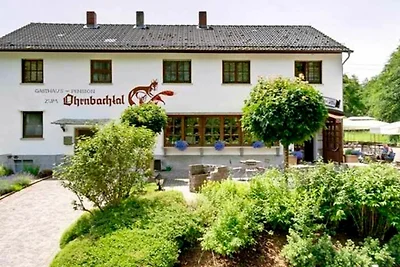 Albergo Cultura ed escursioni Weilbach