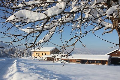 Casa vacanze Vacanza di relax Krumbach