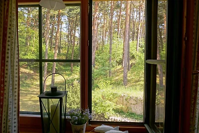 Vakantieappartement Gezinsvakantie Trassenheide