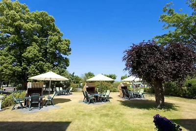 Vakantieappartement Gezinsvakantie Ahlbeck