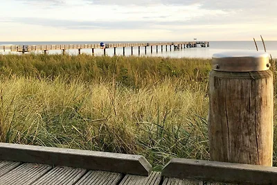 Schwarzer Bär Whg. Bär 04