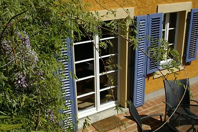 Studio mit Terrasse im idyllischen Katzenhaus...
