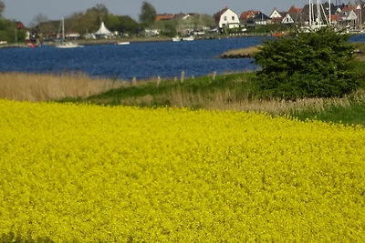 Vakantieappartement Gezinsvakantie Maasholm-Bad