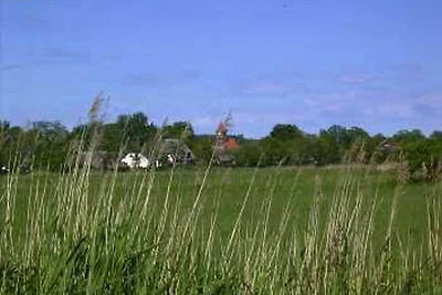 Holiday flat family holiday Middelhagen