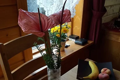 Albergo Cultura ed escursioni Oberharz am Brocken