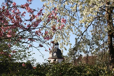 Vakantieappartement Gezinsvakantie Bad Sachsa