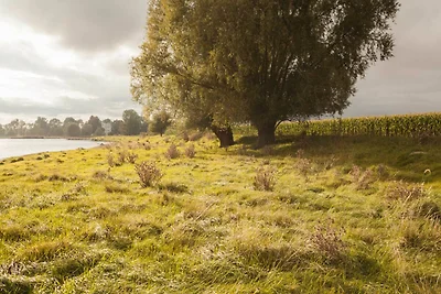 Slot/Kasteel Vakantieparken en clubs Poseritz