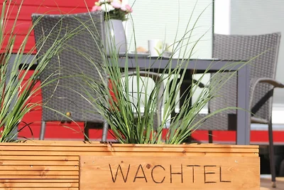 Ostsee Tiny Haus Wachtel