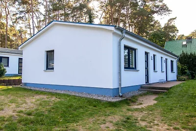 Albergo Cultura ed escursioni Lubmin