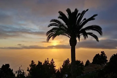 Sol