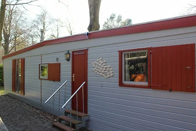 Albergo Cultura ed escursioni Graal-Müritz