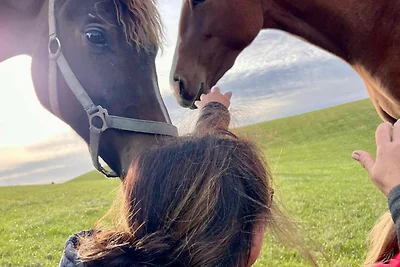 4) FeWo 3-Raum (90m², 5 Pers.