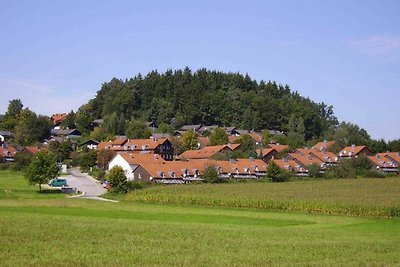 Hotel Cultuur en bezienswaardigheden Zandt