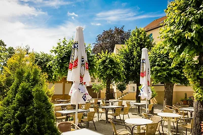 Albergo Cultura ed escursioni Senftenberg