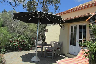 Casa Palmera A