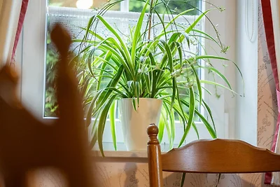 Vakantieappartement Gezinsvakantie Hesel