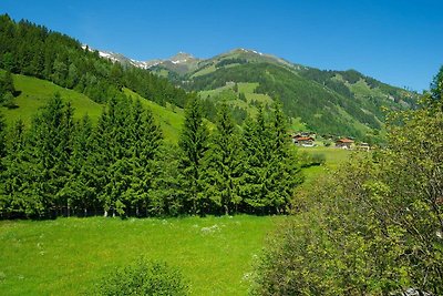 Albergo Cultura ed escursioni Rauris