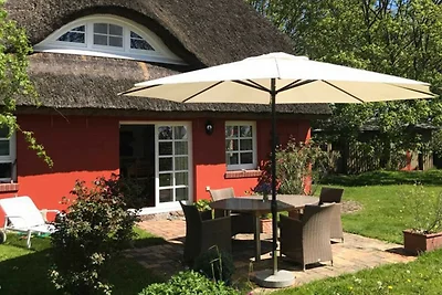 Vakantiehuis Ontspannende vakantie Kenz-Küstrow