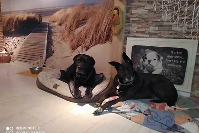 Casa vacanze Vacanza di relax Tönning