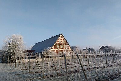 Vakantieappartement Gezinsvakantie Hollern-Twielenfleth