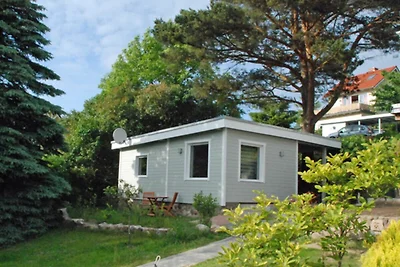 Ferienbungalow in Göhren