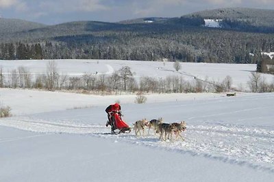 Appartamento Vacanza con famiglia Clausthal-Zellerfeld