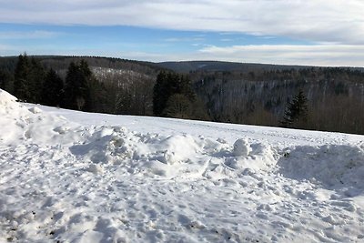 Vakantieappartement Gezinsvakantie Ilmenau