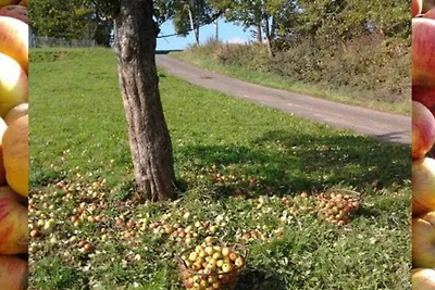 Vakantieappartement Gezinsvakantie Lützelbach