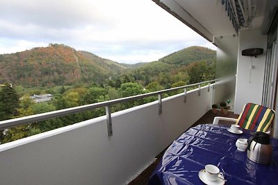 Vakantieappartement Gezinsvakantie Bad Harzburg