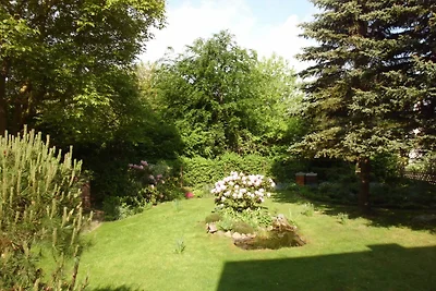 Vakantieappartement Gezinsvakantie Behrenhoff