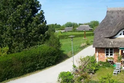 FW Südersiet