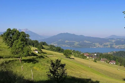 Holiday home relaxing holiday Steinbach am Attersee