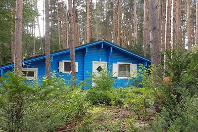 Ferienhaus Waldblick - blaues Haus