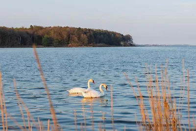 Holiday flat family holiday Putbus