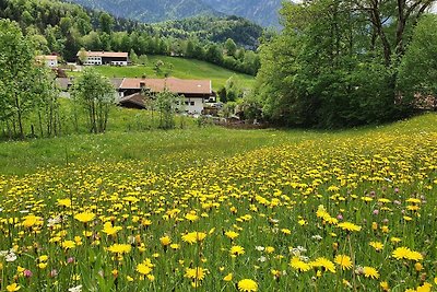 Vakantieappartement Gezinsvakantie Fischbachau