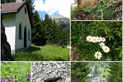 Vakantieappartement Gezinsvakantie Nesselwängle
