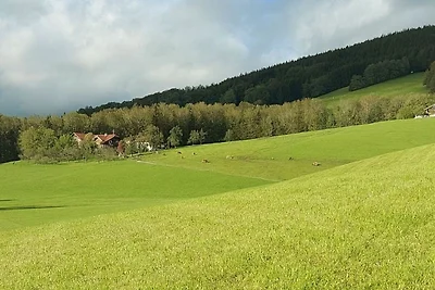 Appartamento Vacanza con famiglia Tiefgraben am Mondsee