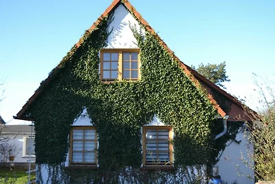 Appartamento Vacanza con famiglia Hiddensee