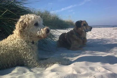 Seeterrassen, FeWo 24