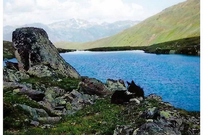 Ferienwohnung für 2-4 Personen 1