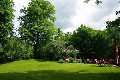 Wohnung Über den Linden