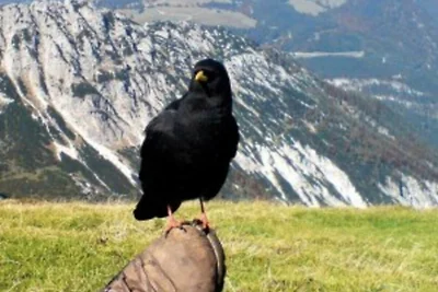 Vakantieappartement Gezinsvakantie Rußbach am Pass