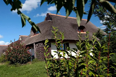 Hotel Cultuur en bezienswaardigheden Linstow