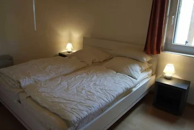 Holiday home relaxing holiday Friedrichskoog