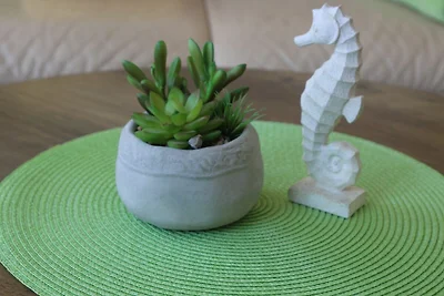 Wohnung 1 Seepferdchen