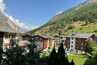 Castor und Pullux
