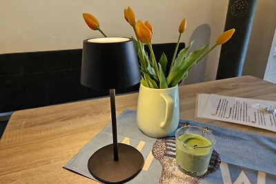 Vakantieappartement Gezinsvakantie Uplengen
