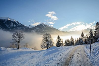 Appartamento Vacanza con famiglia Bad Hofgastein