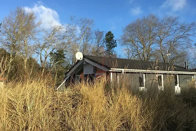 Albergo Cultura ed escursioni Travemünde