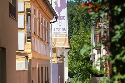 Boardinghouse-Baumhof55.2
